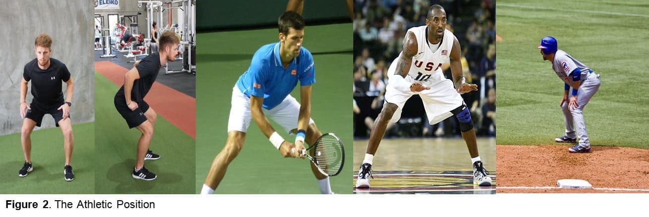Figure 2- The Athletic Position