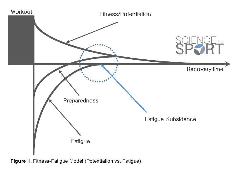 Figure 1 - The fitness-fatigue theory